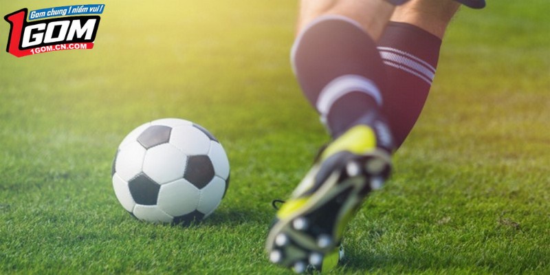 Các nguồn cập nhật thông tin bảng xếp hạng phổ biến hiện nay