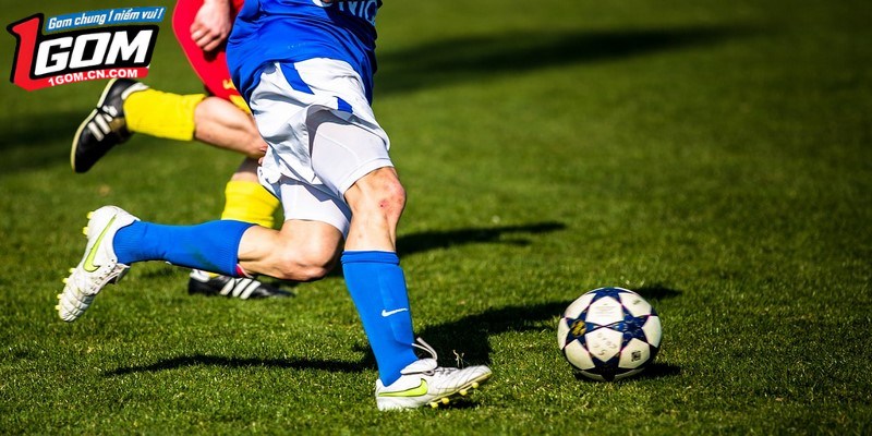 Bảng xếp hạng cung cấp các thông tin bên lề các đội bóng