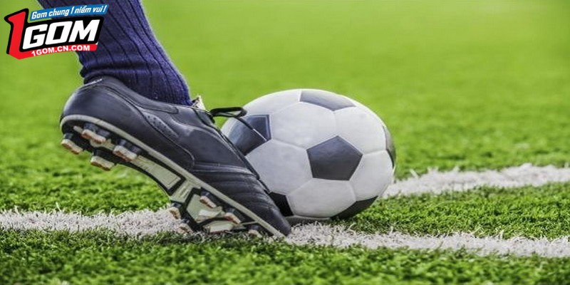 Điểm số và thứ hạng hiện tại các đội bóng tham gia