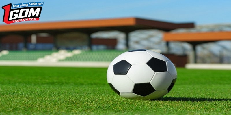 Sử dụng ứng dụng điện thoại để cập nhật kết quả nhanh chóng